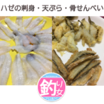 釣ったマハゼを美味しく頂きましょう！