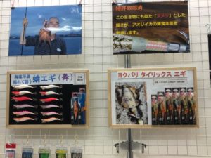 2019-30-Shintowa-Egi